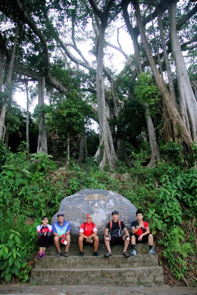 Da-Nang-Bike-Tours-Thousand-Year-Old-Banyan-Tree