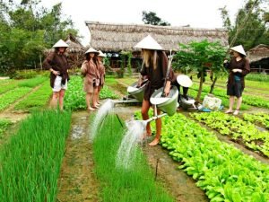 Hoi An cycling adventures