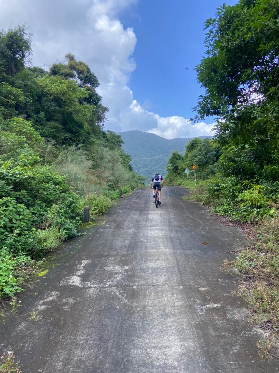 beebike tours