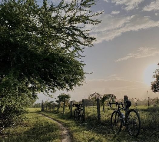 Hoi An Bike Tours