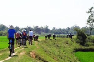 Cycling adventures Da Nang