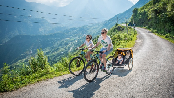 beebike tours