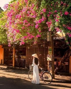 Hue Bike Tours