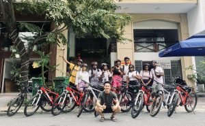 Bee Bike Tours